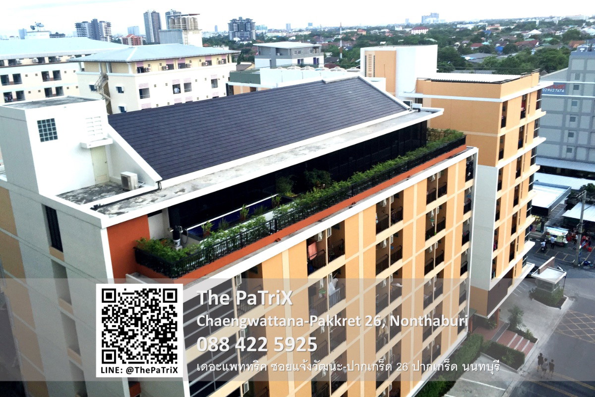 เดอะแพททริค photo 8