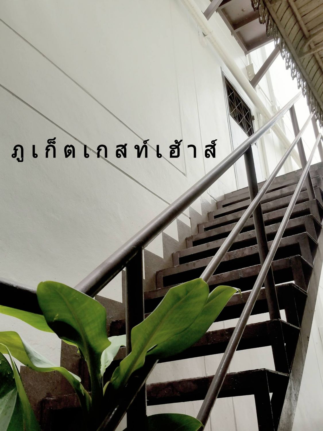 ภูเก็ตเกสท์เฮ้าส์
