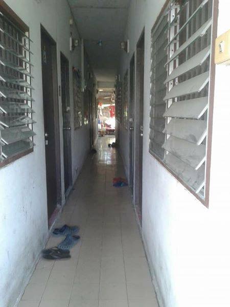 ห้องพัก หมีภู