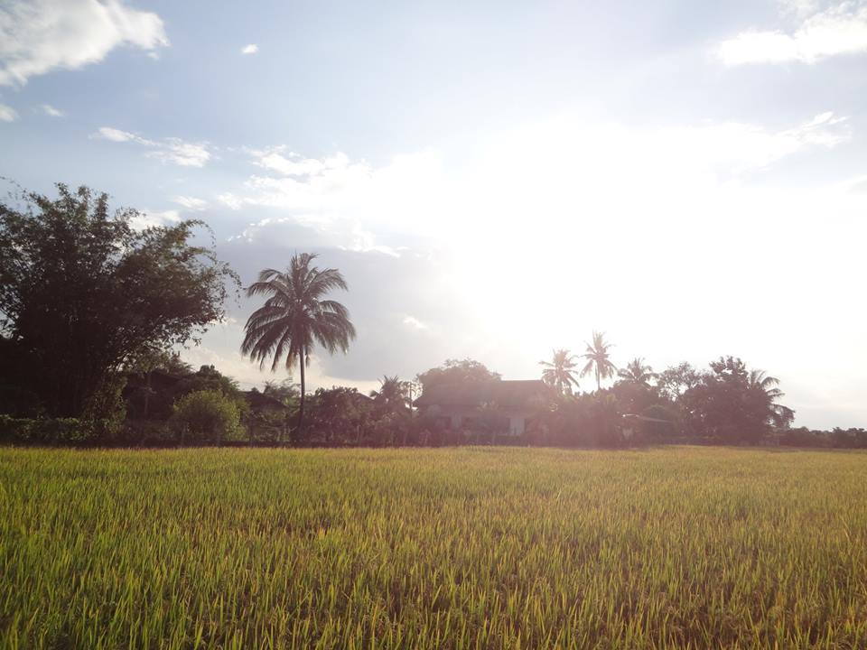 บุญนำบ้านเช่า รูปที่ 3