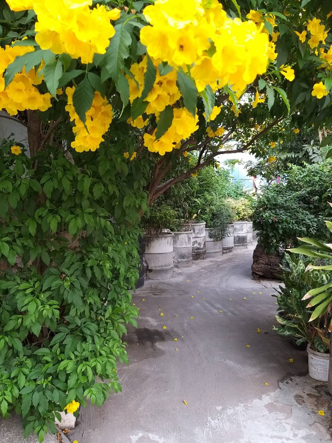 Apartment บ้านออมสิน