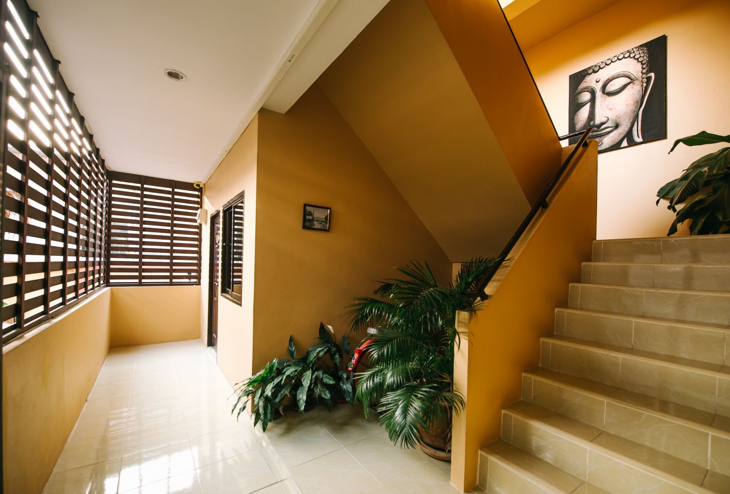 Happy House photo 7