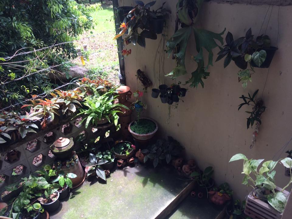 บ้านจันระพี รูปที่ 6