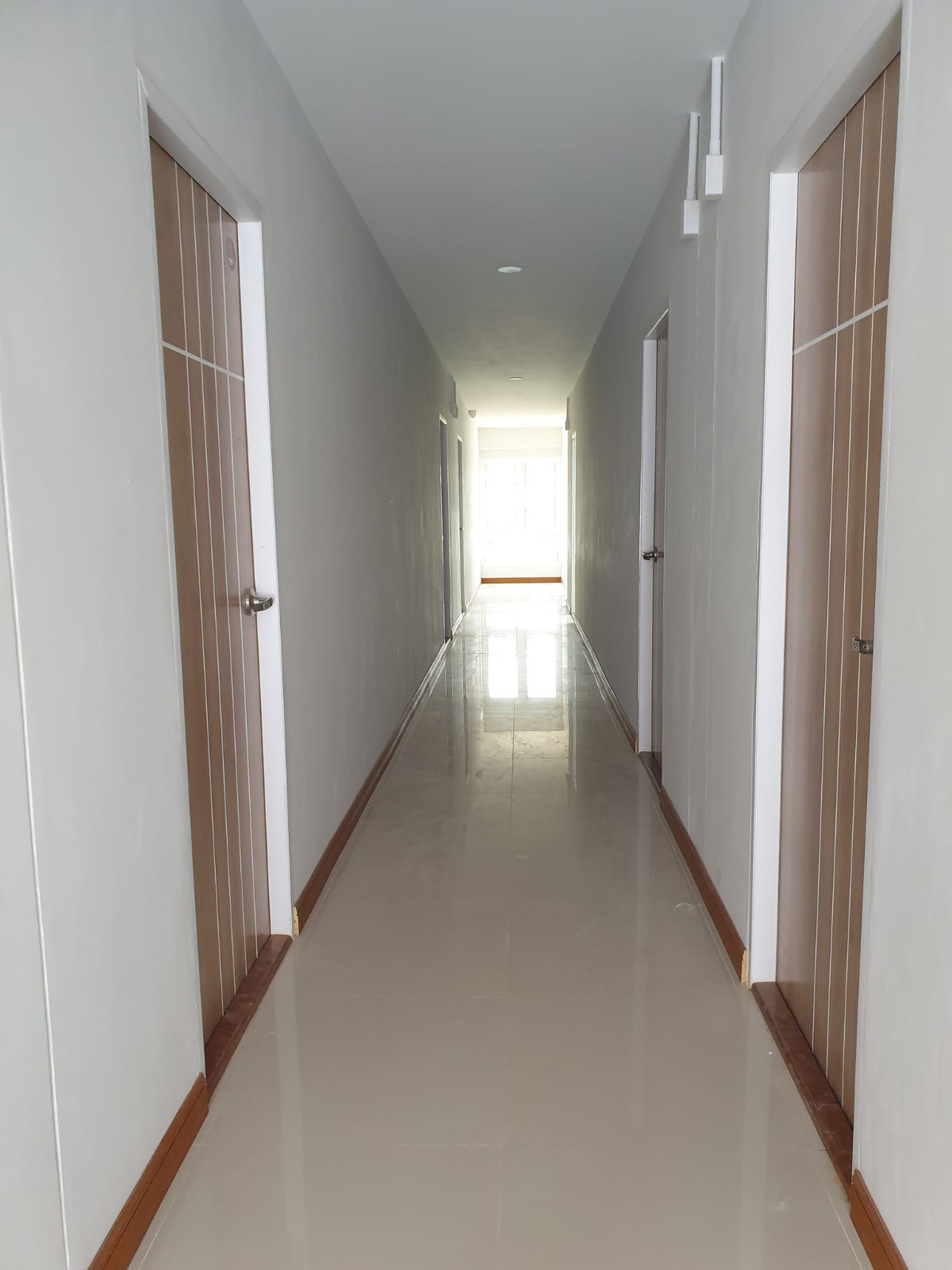เอเคเพลส