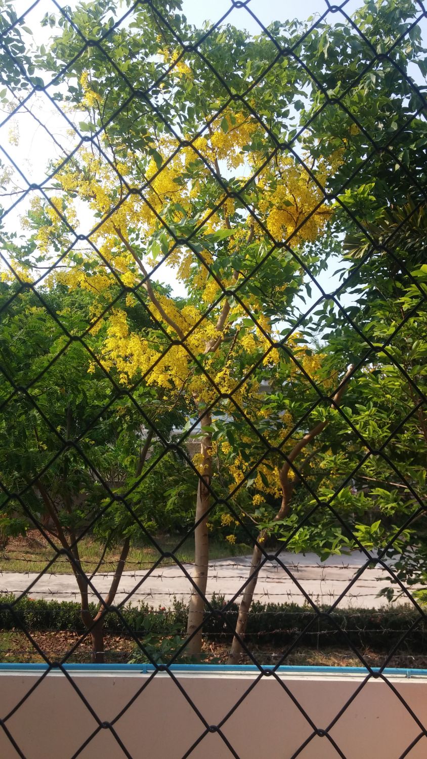 บ้านริดา รูปที่ 6