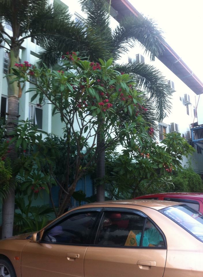 วัฒนชัยอพาร์ทเมนท์ (ศรีพโล) photo 8