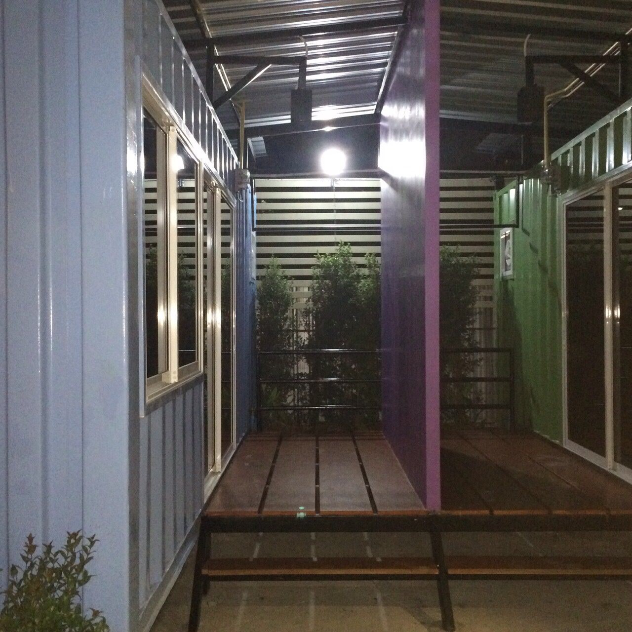 เดอะเน็ต