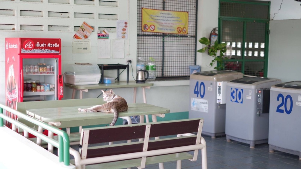 ธรรศิกา อพาร์ทเม้นท์ photo 6
