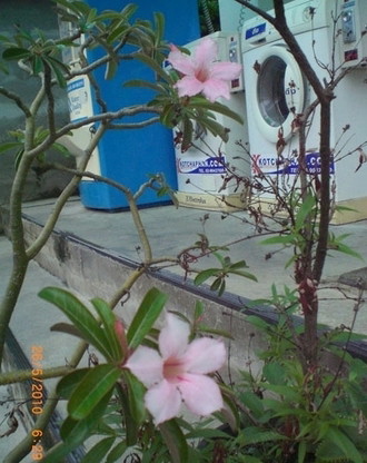 มาร์คอพาร์ทเม้นท์