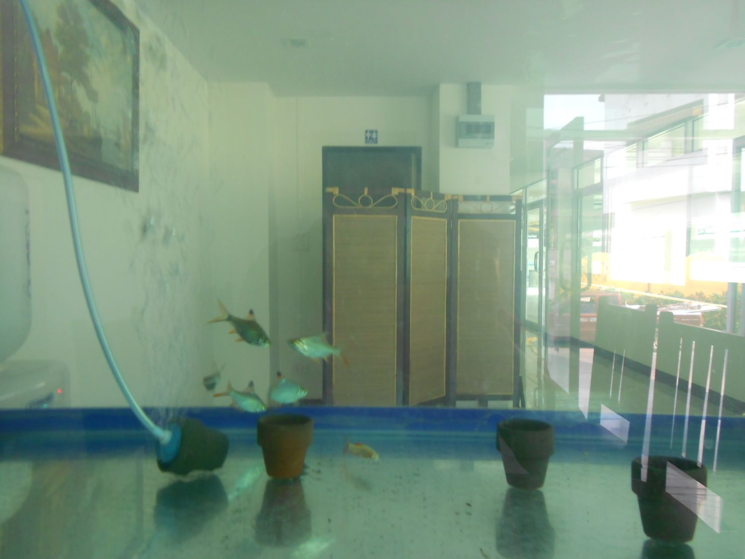 Wualai Soi 5 Apartment photo 8