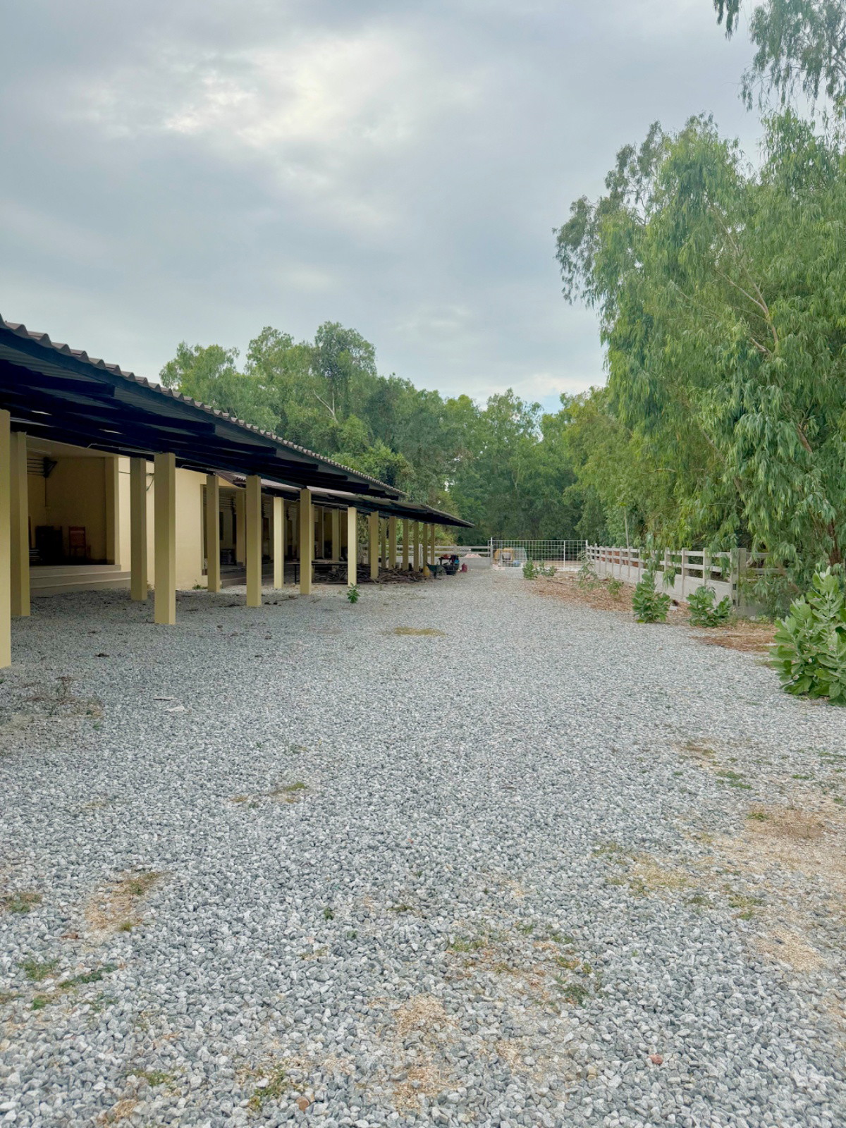 บ้านไร่หิรัญลักษณ์ ห้องพักให้เช่า ศรีราชา-ใกล้มอเตอร์เวย์ photo 5