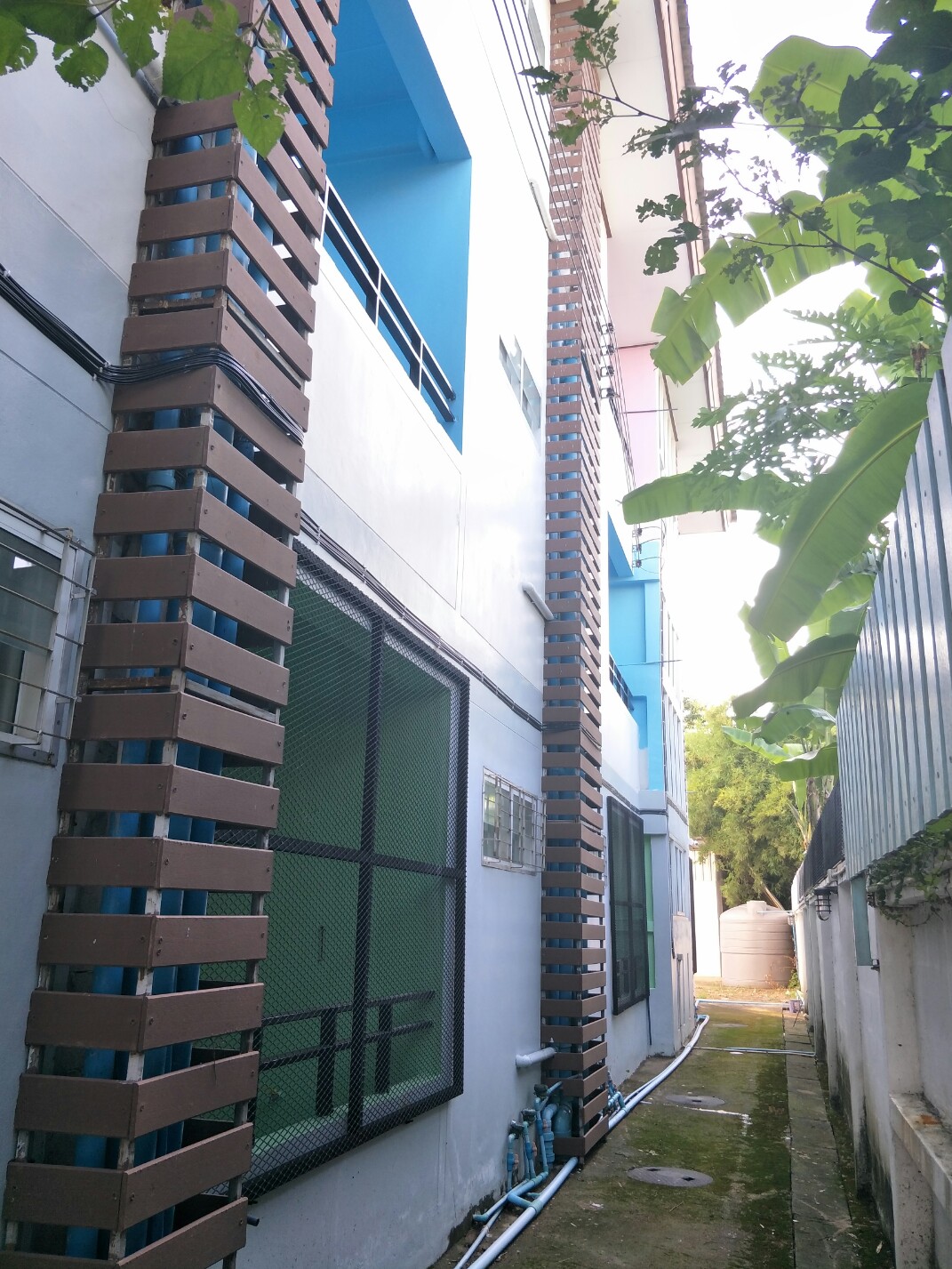 บ้านพิมพ์พิชช์ @แพร่