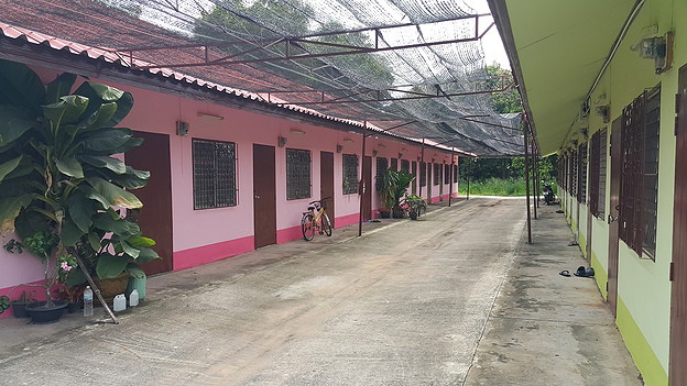 บ้านร่มไม้ photo 5