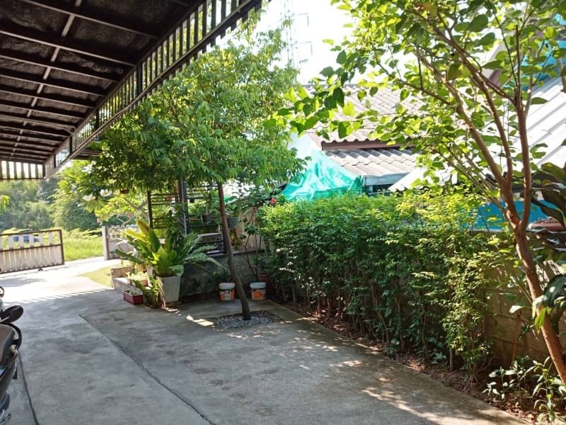 หอพักบ้านใบไม้บายกบ รูปที่ 6