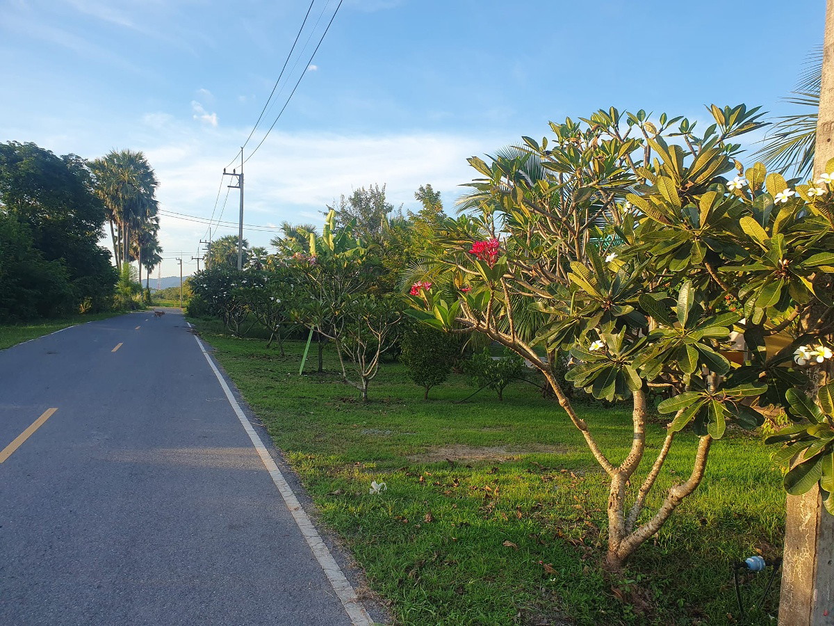 บ้านดินหอม นครนายก 照片 8
