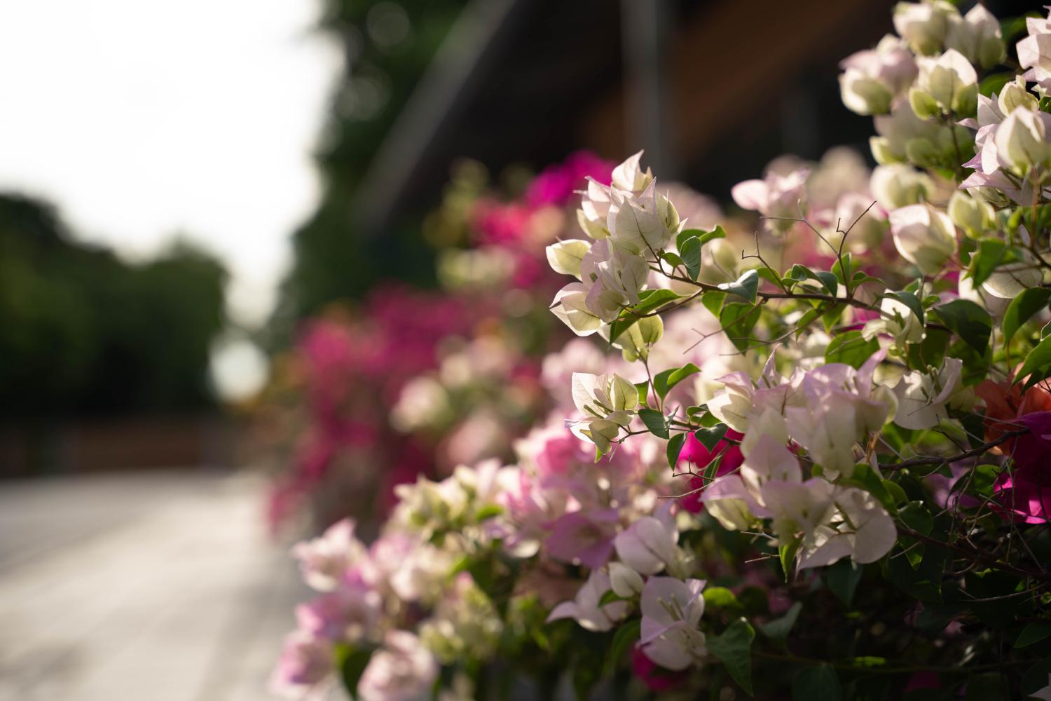 KR Garden Place 照片 8