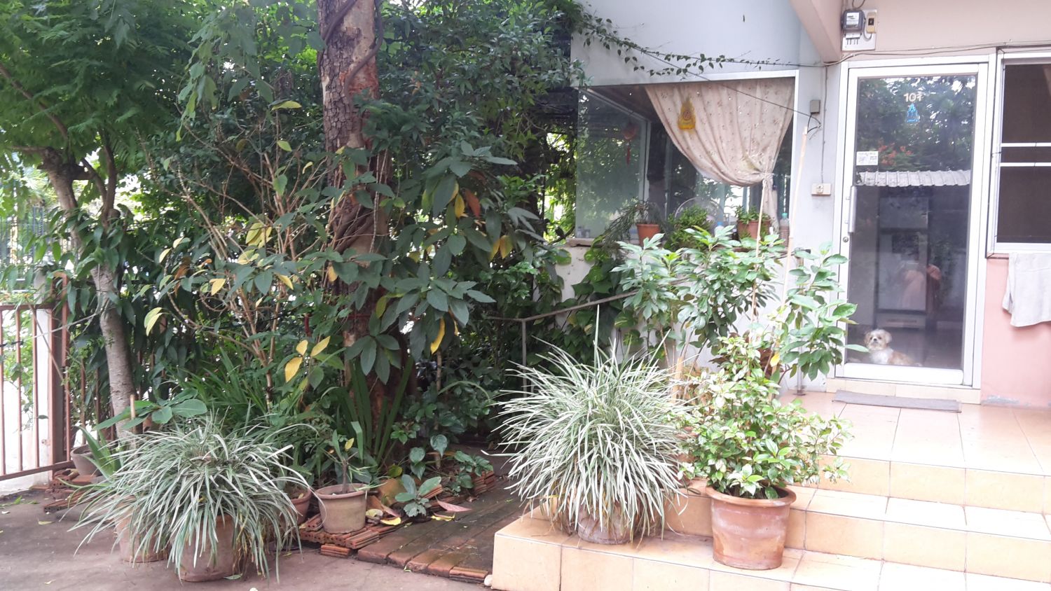 บ้านปาริชาติ 照片 6