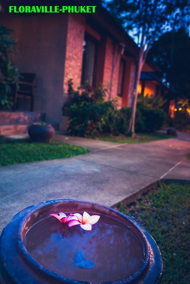 ฟลอร่าวิลล์  ภูเก็ต รูปที่ 10