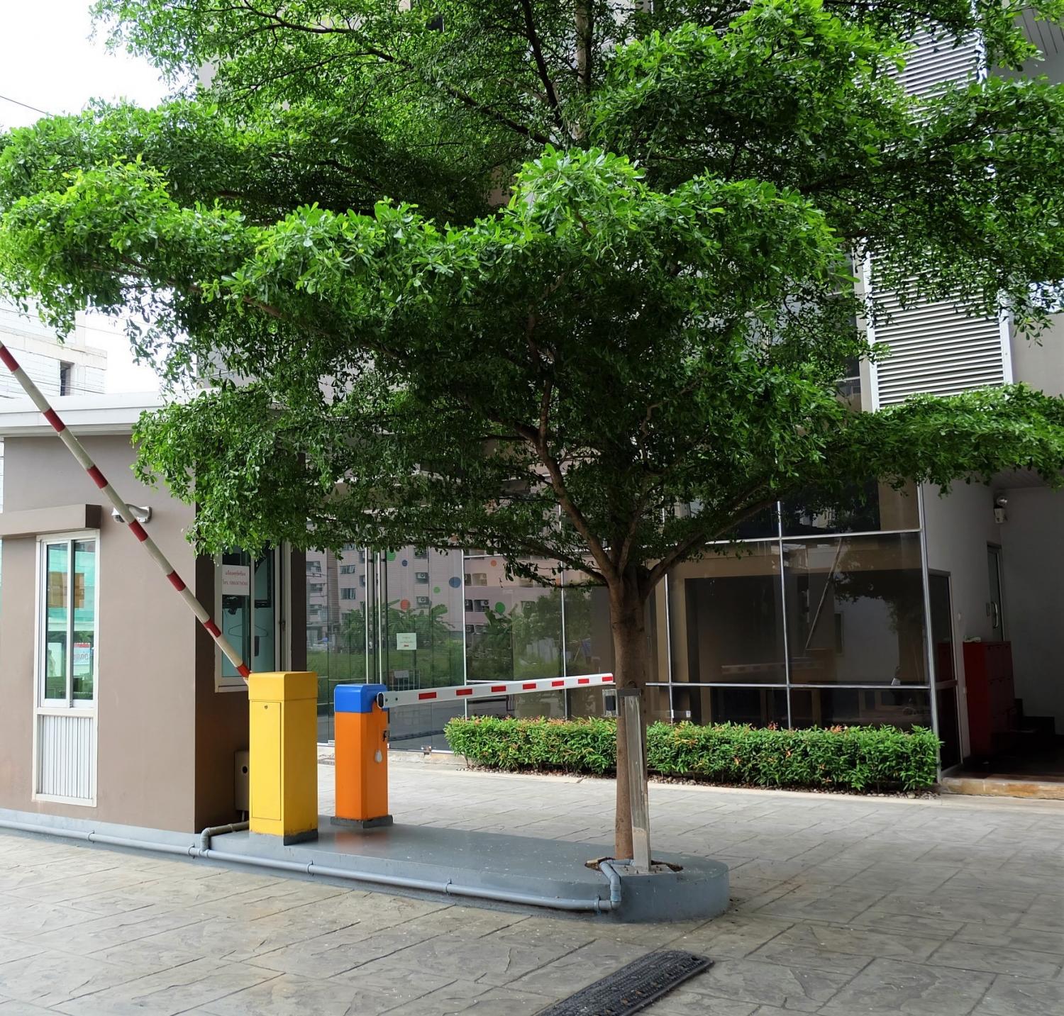 หอพัก บ้านเลขที่สิบเอ็ด ม.รังสิต 照片 8