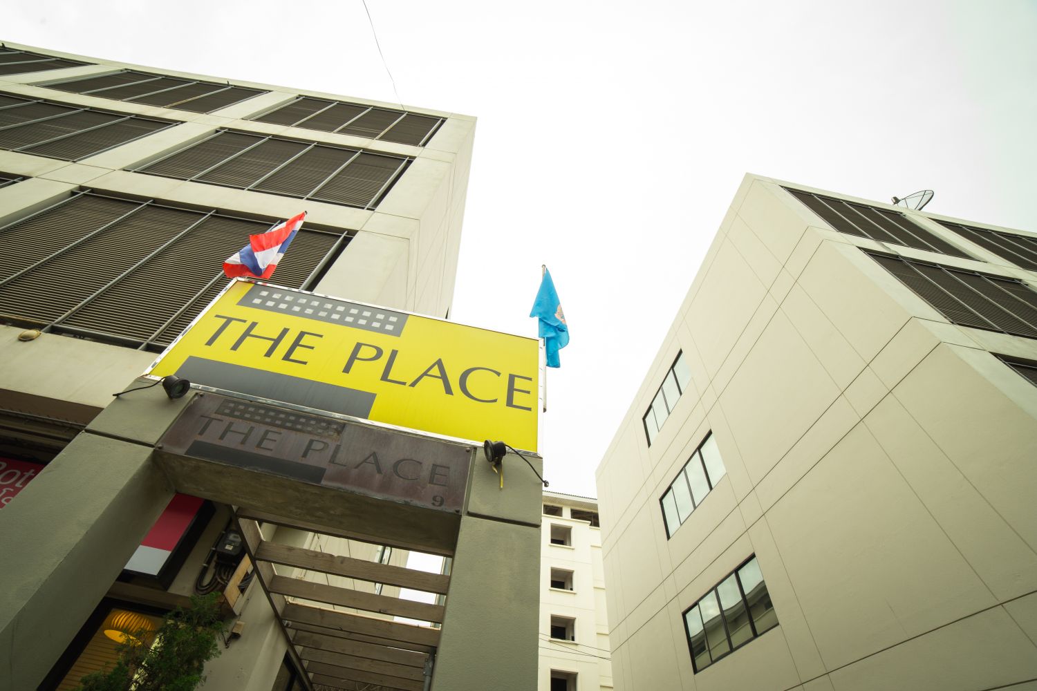 THE PLACE photo 9