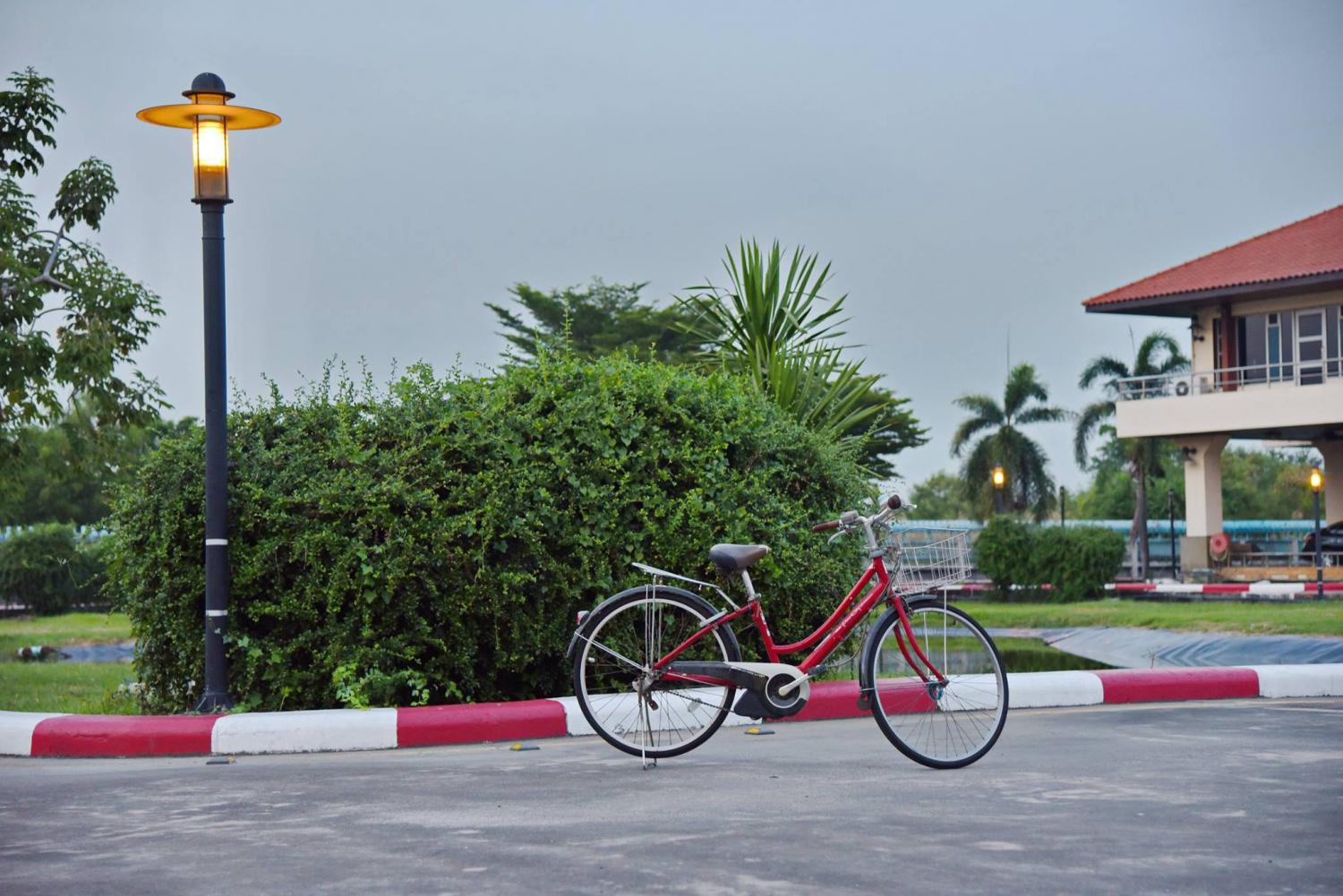 97 เมอร์รี่แลนด์อพาร์ทเม้นท์, ณ บางวัว รูปที่ 12