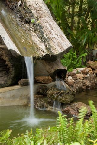 บ้านแสนสุขอพาร์ทเมนท์ รูปที่ 8