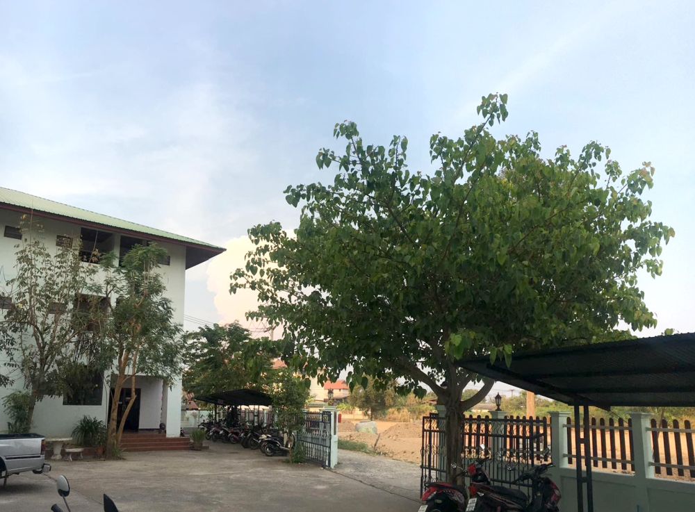 ชนะมี แมนชั่น บริการห้องพัก ใกล้ม.อุบลฯ รูปที่ 7