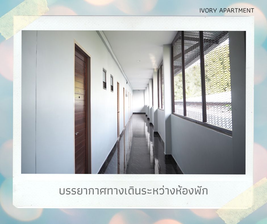 ไอเวอรี่ อพาร์ทเม้นท์ รูปที่ 15