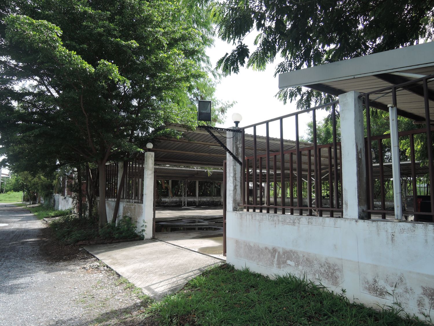Paradiso Salaya รูปที่ 8