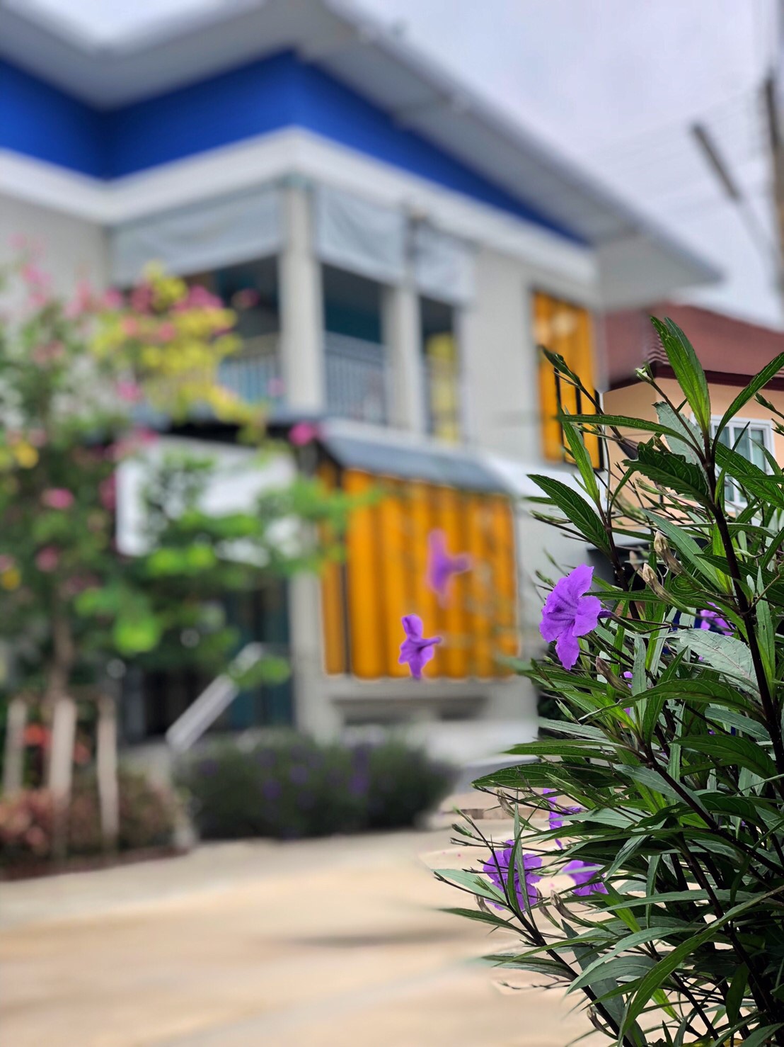 บ้านอยู่สุข ราชบุรี