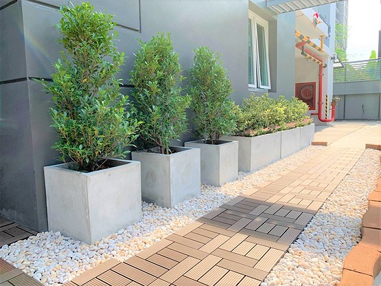 Uspire Apartment (ยู สปายร์ อพาร์ทเม้นท์) รัชดาภิเษก MRT ห้วยขวาง รูปที่ 19