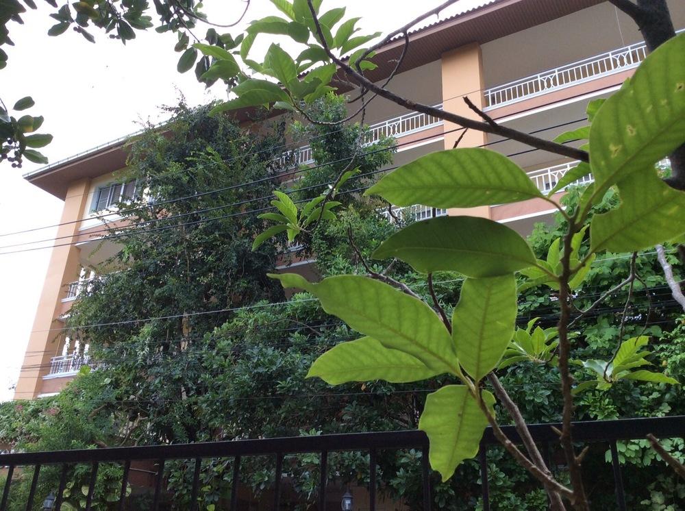 บ้านอยู่ดีอพาร์ทเม้นท์ บ้านฉาง photo 6