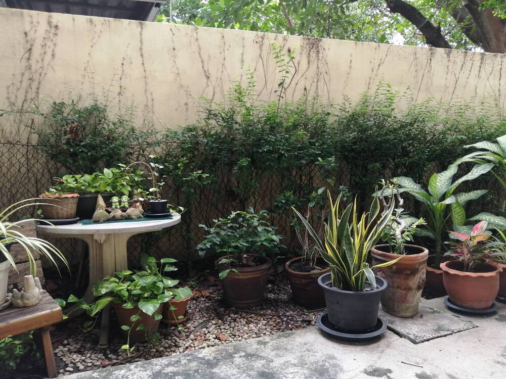 บ้านพณิตา รูปที่ 5