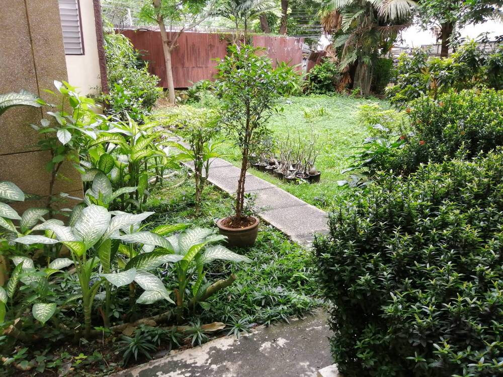 บ้านพณิตา รูปที่ 7