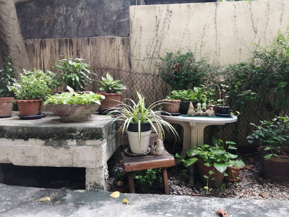 บ้านพณิตา รูปที่ 16