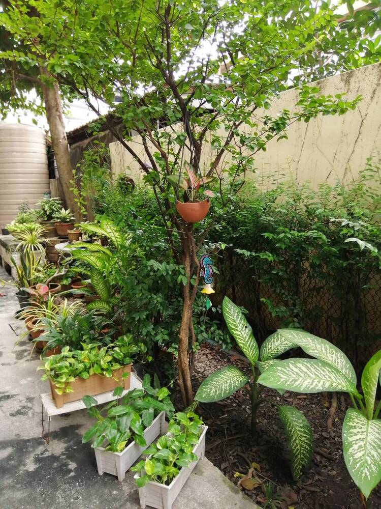 บ้านพณิตา รูปที่ 25