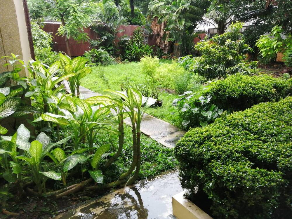 บ้านพณิตา รูปที่ 6
