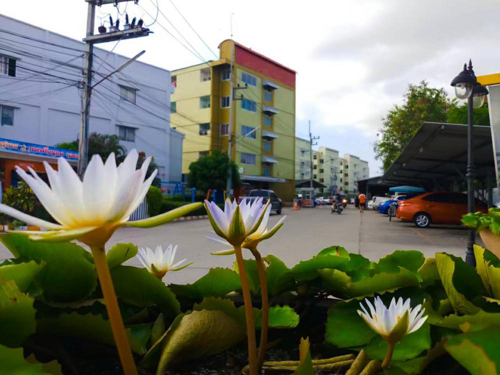 เจริญสินธานี เจริญนคร รูปที่ 5