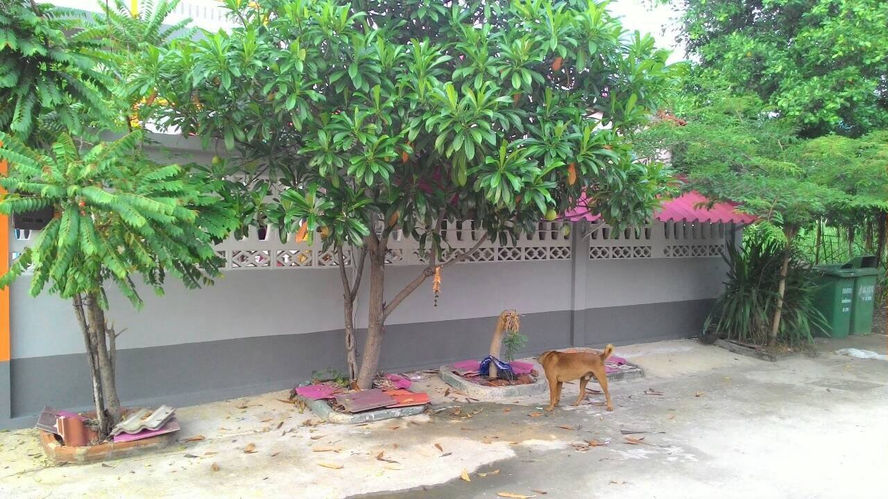 บุญรักษาเพลส photo 38